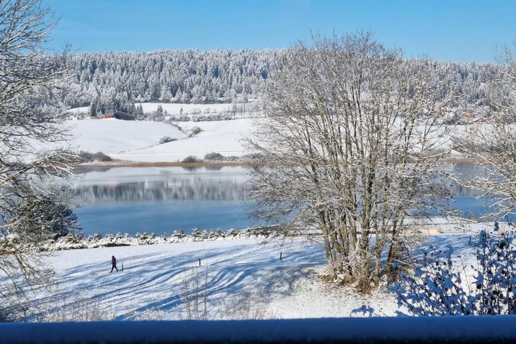 Duplex 6 Personnes, Vue Panoramique Sur Lac Malbuisson Exterior photo